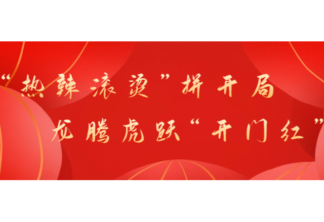 首季开门红②  开云手机登录入口助力中国康富古浪300MW光伏治沙项目顺利并网